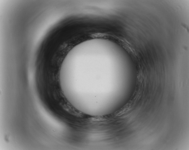 X0000096150763200801180829