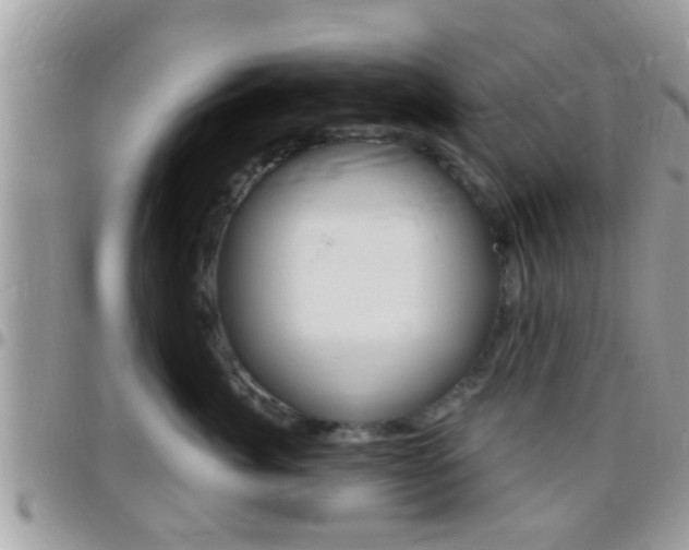 X0000096150764200801180829