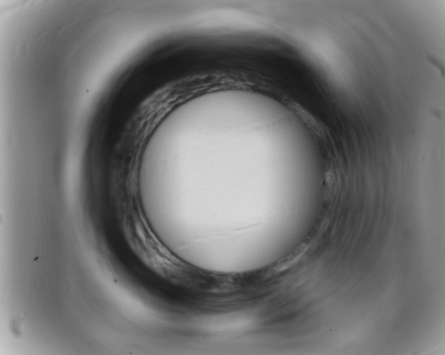 X0000096150765200801180829