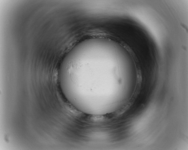 X0000096150767200801180829