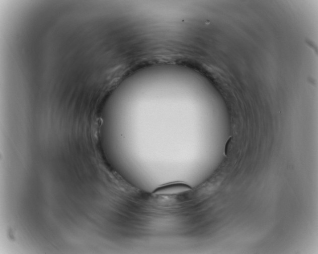 X0000096150768200801180829