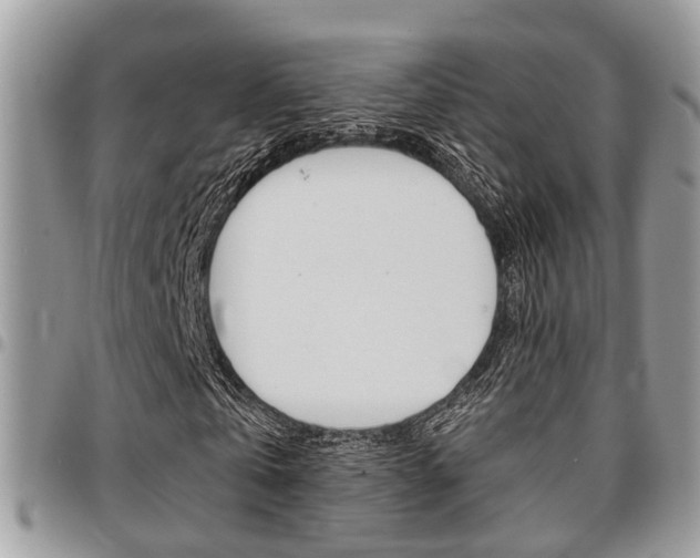 X0000096150769200801180828