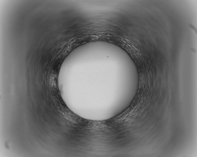 X0000096150770200801180828
