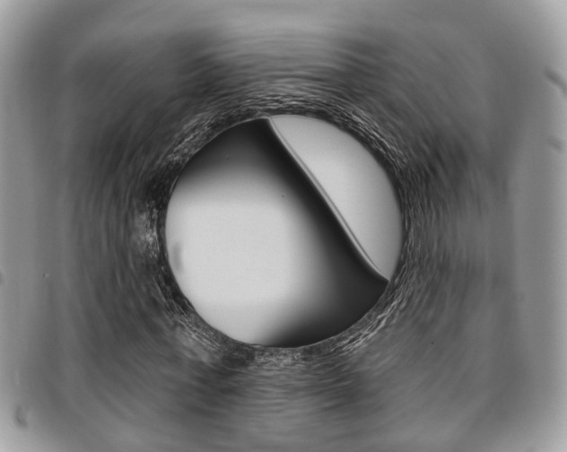 X0000096150771200801180828