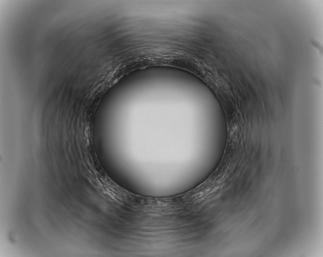 X0000096150772200801180828