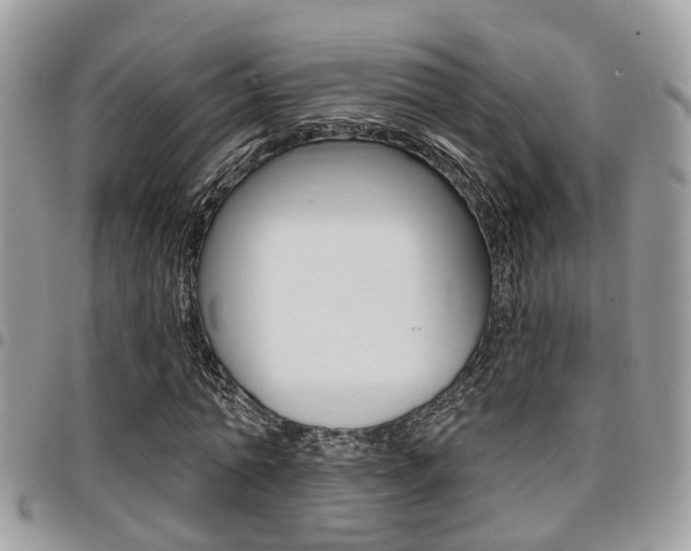 X0000096150774200801180828