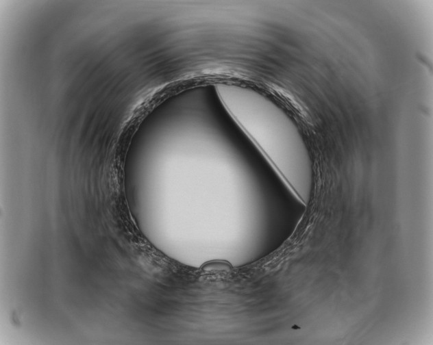 X0000096150776200801180828