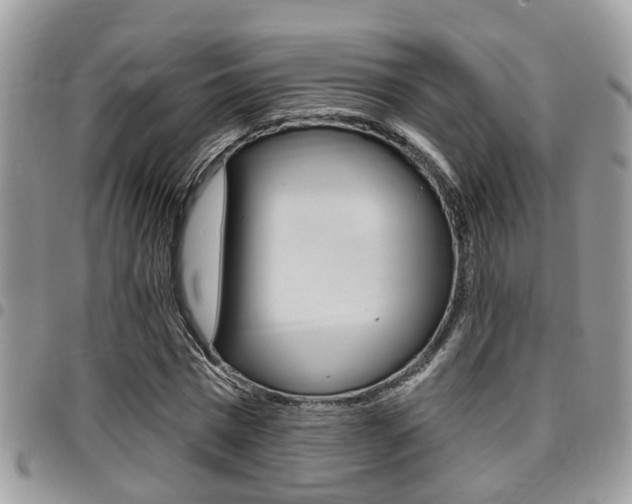 X0000096150777200801180828