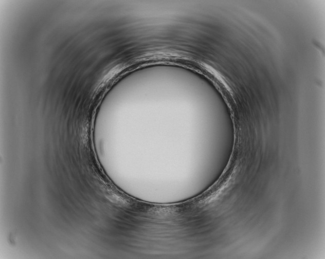X0000096150778200801180828