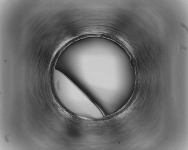 X0000096150779200801180828