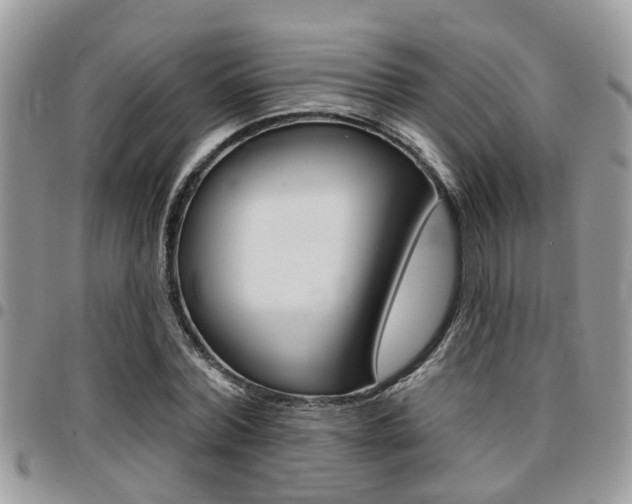 X0000096150780200801180828