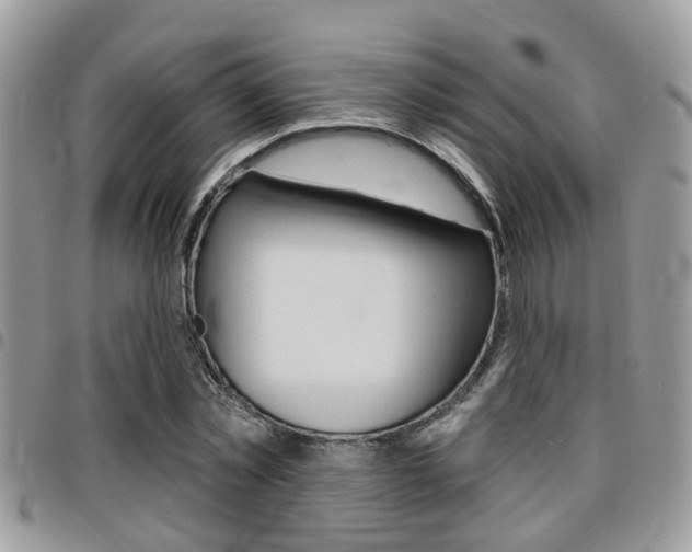 X0000096150781200801180828