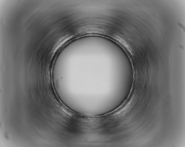 X0000096150782200801180828