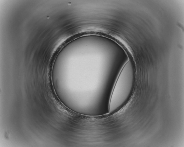 X0000096150783200801180828