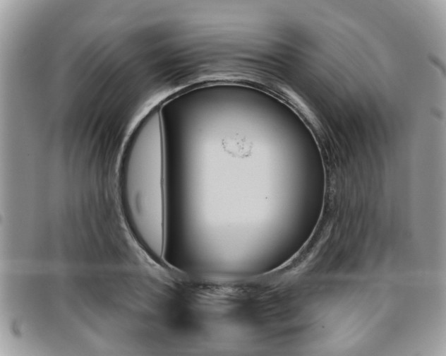 X0000096150787200801180828