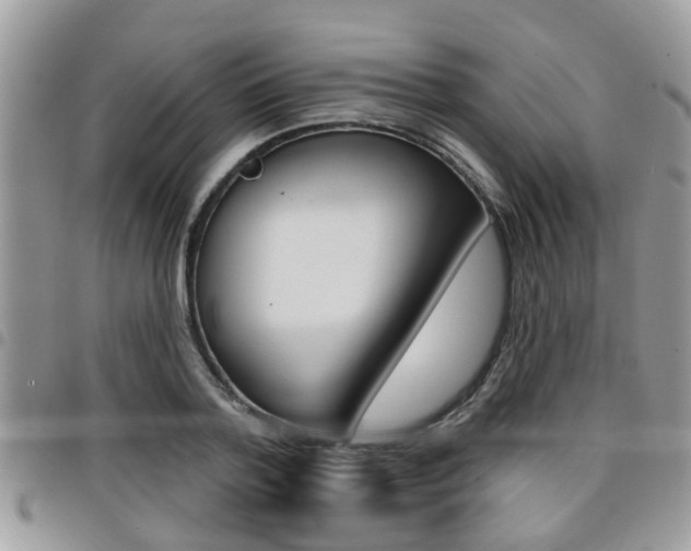 X0000096150788200801180828