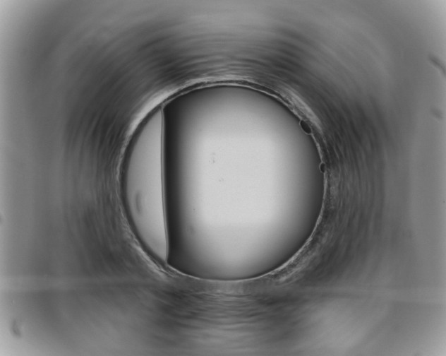 X0000096150789200801180828