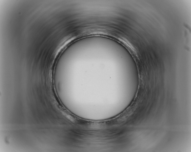 X0000096150790200801180828