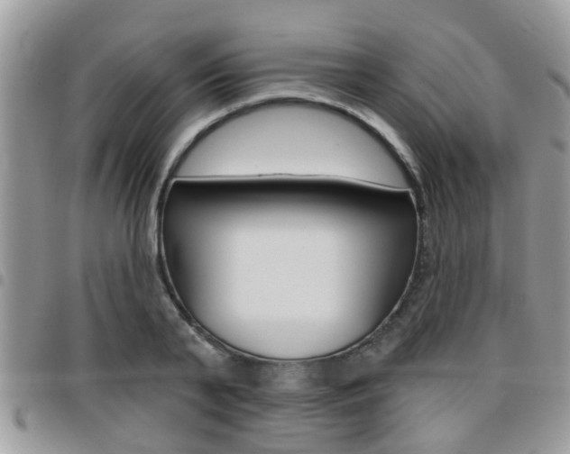 X0000096150791200801180828