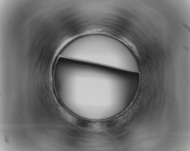 X0000096150792200801180828