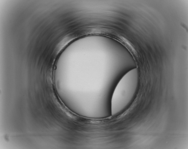 X0000096150794200801180828