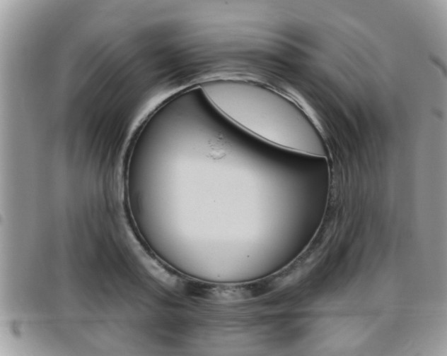 X0000096150795200801180828