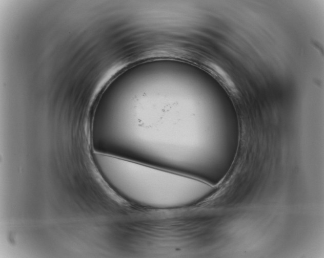 X0000096150796200801180828