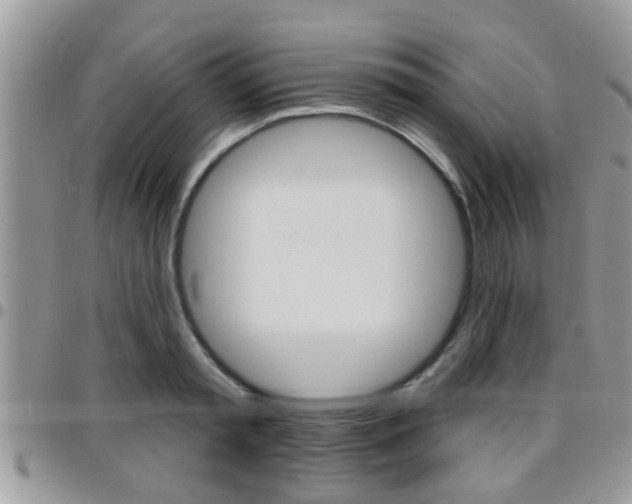 X0000096150797200801180828