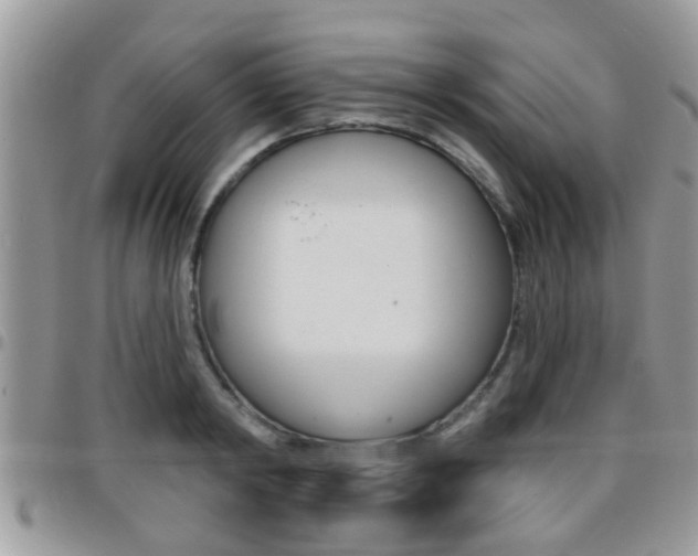 X0000096150798200801180828
