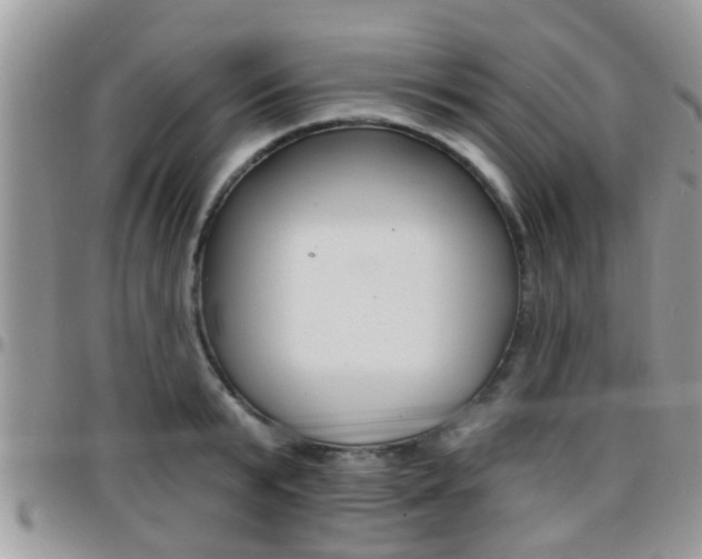 X0000096150799200801180828
