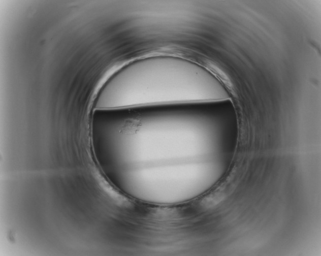 X0000096150800200801180828
