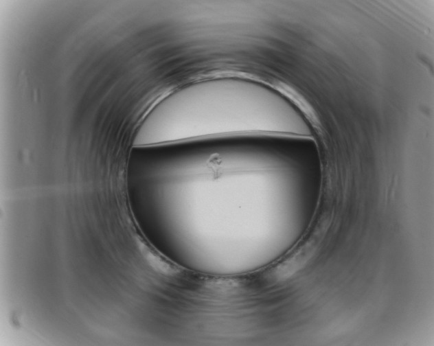 X0000096150801200801180828