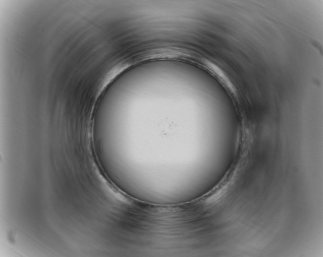 X0000096150802200801180828