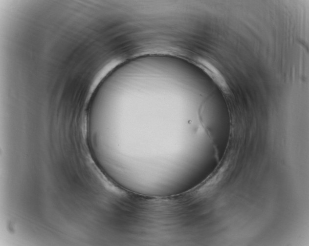 X0000096150804200801180828