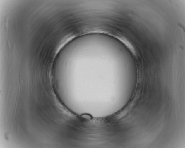 X0000096150806200801180828