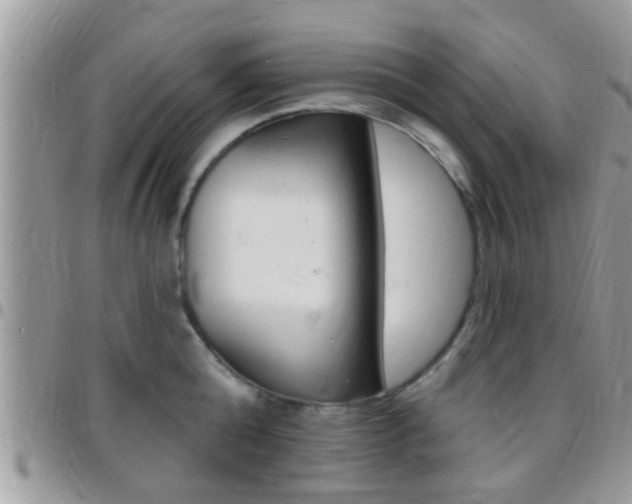 X0000096150808200801180828