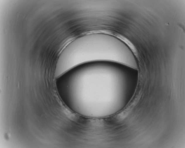 X0000096150809200801180828