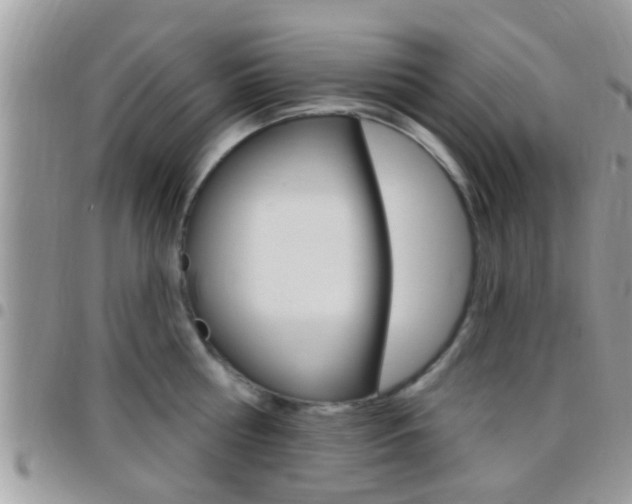 X0000096150810200801180828