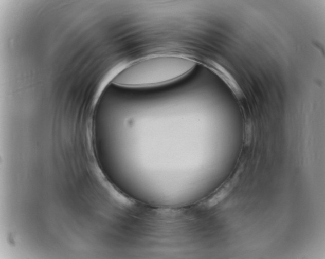 X0000096150812200801180828
