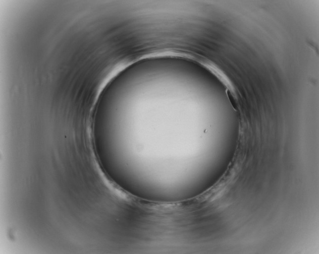 X0000096150813200801180828