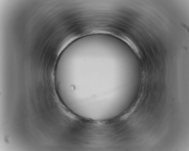 X0000096150814200801180828