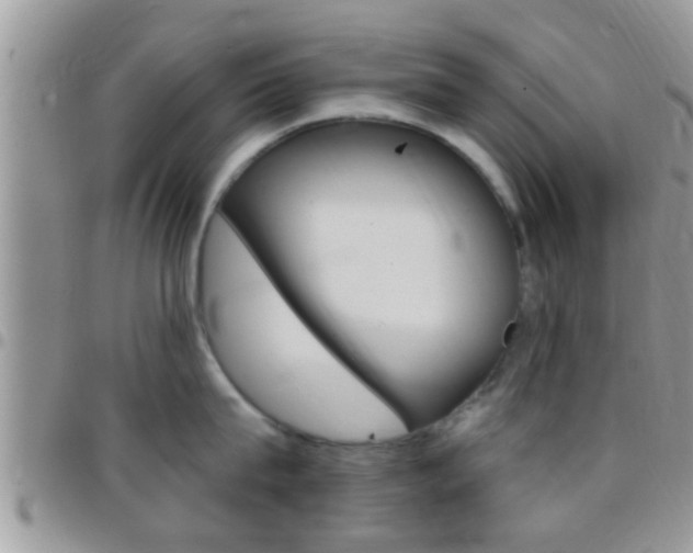 X0000096150815200801180828