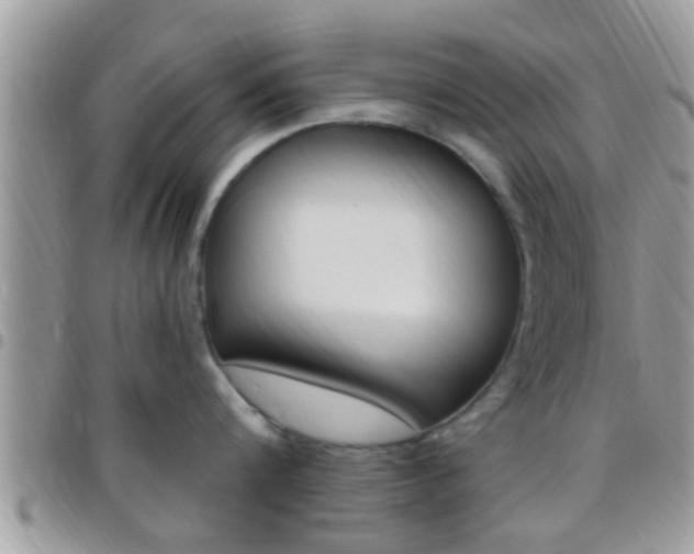 X0000096150816200801180828