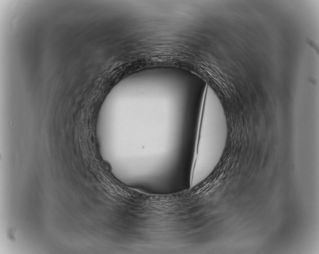 X0000096150817200801180827