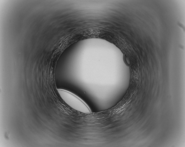 X0000096150818200801180827
