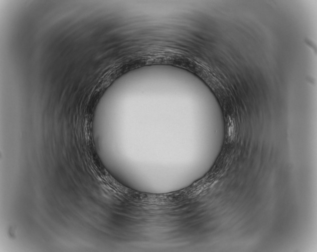 X0000096150819200801180827