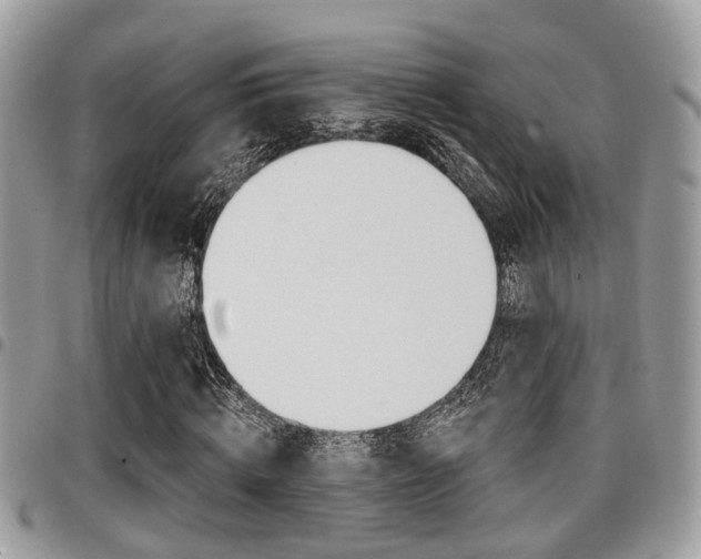 X0000096150820200801180827