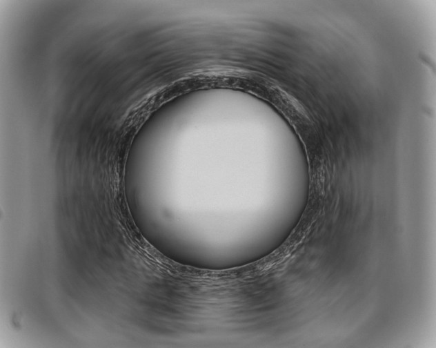 X0000096150821200801180827