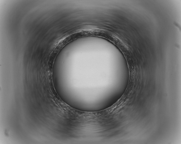 X0000096150822200801180827