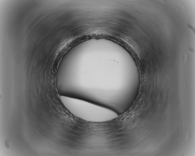 X0000096150823200801180827